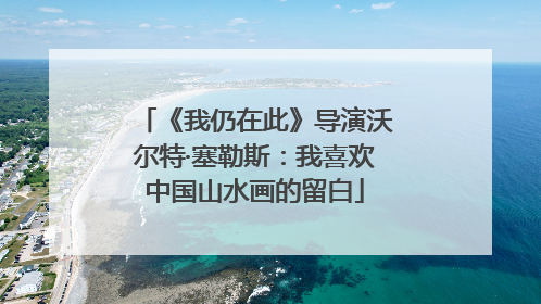 《我仍在此》导演沃尔特·塞勒斯：我喜欢中国山水画的留白