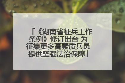 《湖南省征兵工作条例》修订出台 为征集更多高素质兵员提供坚强法治保障