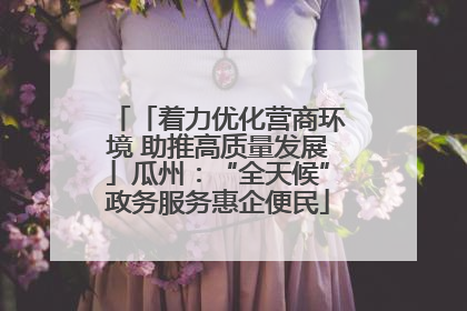 「着力优化营商环境 助推高质量发展」瓜州：“全天候”政务服务惠企便民