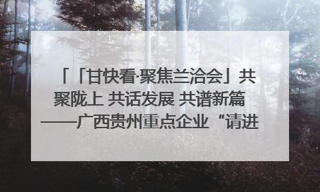 「甘快看·聚焦兰洽会」共聚陇上 共话发展 共谱新篇——广西贵州重点企业“请进来”招商推介会扫描