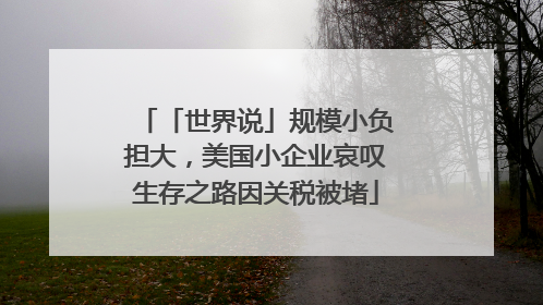 「世界说」规模小负担大，美国小企业哀叹生存之路因关税被堵