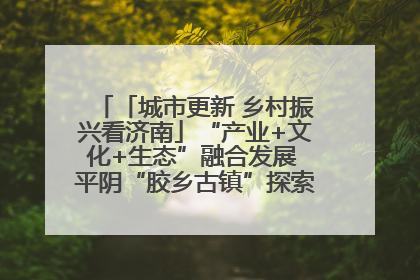 「城市更新 乡村振兴看济南」“产业+文化+生态”融合发展 平阴“胶乡古镇”探索振兴路径成效显著
