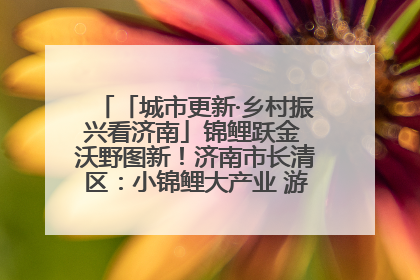 「城市更新·乡村振兴看济南」锦鲤跃金 沃野图新！济南市长清区：小锦鲤大产业 游出农旅新风景