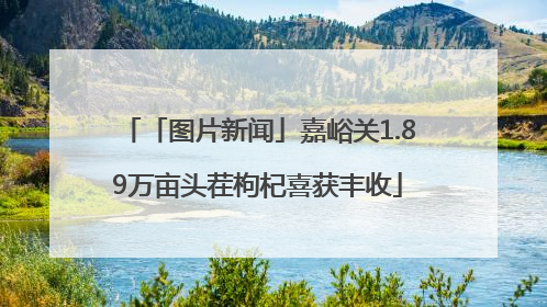 「图片新闻」嘉峪关1.89万亩头茬枸杞喜获丰收