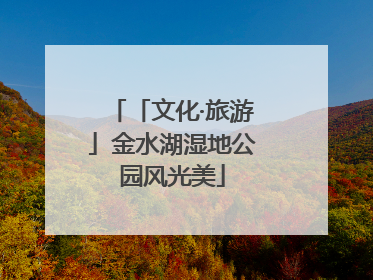 「文化·旅游」金水湖湿地公园风光美