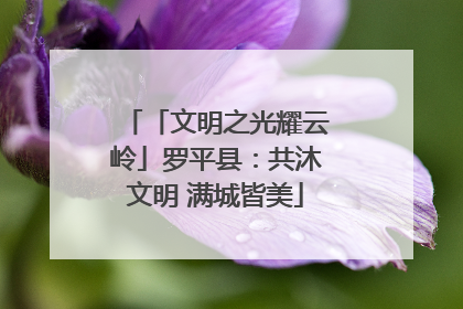 「文明之光耀云岭」罗平县：共沐文明 满城皆美