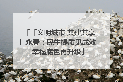 「文明城市 共建共享」永春：民生提质见成效 幸福底色再升级