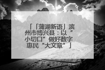 「蒲湖新语」滨州市博兴县：以“小切口”做好数字惠民“大文章”