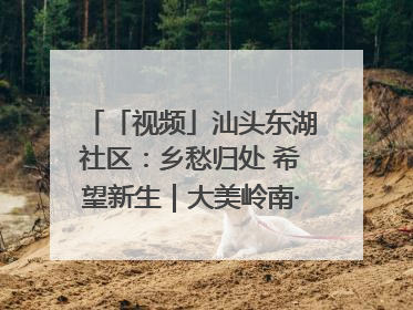 「视频」汕头东湖社区：乡愁归处 希望新生｜大美岭南·百村焕新记