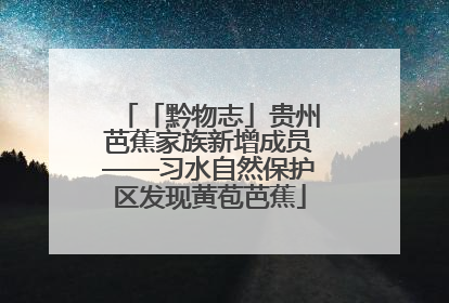 「黔物志」贵州芭蕉家族新增成员——习水自然保护区发现黄苞芭蕉