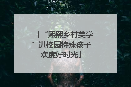 “熙熙乡村美学”进校园特殊孩子欢度好时光