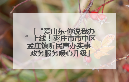 “爱山东·你说我办”上线！枣庄市市中区孟庄镇听民声办实事 政务服务暖心升级