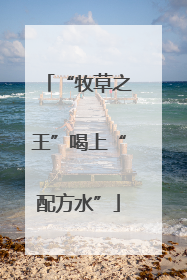 “牧草之王”喝上“配方水”