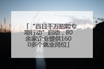“百日千万招聘专项行动”启动，80余家企业提供1600多个就业岗位