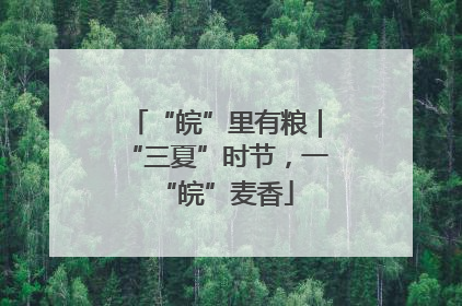 “皖”里有粮｜“三夏”时节，一“皖”麦香
