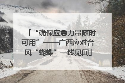 “确保应急力量随时可用”——广西应对台风“蝴蝶”一线见闻