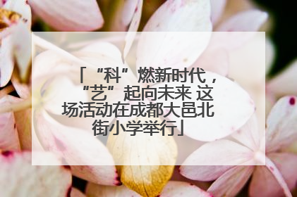 “科”燃新时代，“艺”起向未来 这场活动在成都大邑北街小学举行