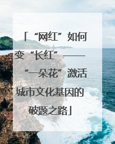 “网红”如何变“长红”——“一朵花”激活城市文化基因的破题之路
