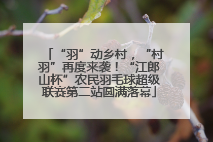 “羽”动乡村，“村羽”再度来袭！“江郎山杯”农民羽毛球超级联赛第二站圆满落幕