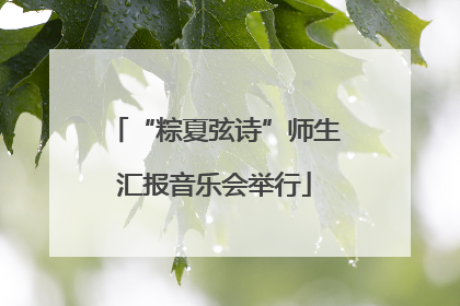 “粽夏弦诗”师生汇报音乐会举行