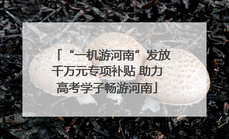 “一机游河南”发放千万元专项补贴 助力高考学子畅游河南