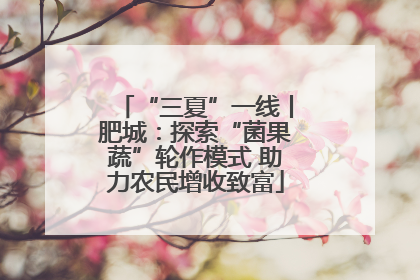 “三夏”一线丨肥城：探索“菌果蔬”轮作模式 助力农民增收致富