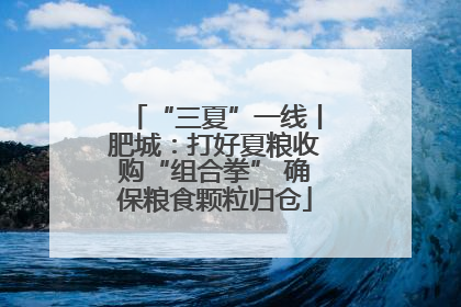 “三夏”一线丨肥城：打好夏粮收购“组合拳” 确保粮食颗粒归仓