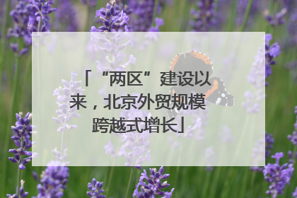 “两区”建设以来，北京外贸规模跨越式增长