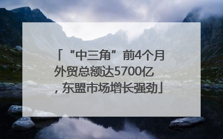“中三角”前4个月外贸总额达5700亿，东盟市场增长强劲