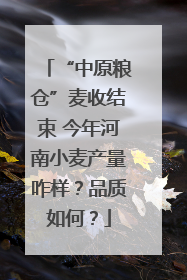“中原粮仓”麦收结束 今年河南小麦产量咋样？品质如何？