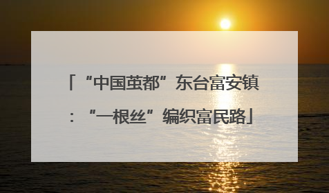 “中国茧都”东台富安镇：“一根丝”编织富民路