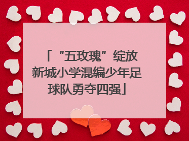 “五玫瑰”绽放 新城小学混编少年足球队勇夺四强
