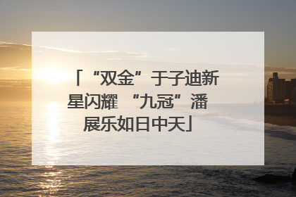 “双金”于子迪新星闪耀 “九冠”潘展乐如日中天