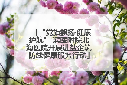 “党旗飘扬·健康护航” 滨医附院北海医院开展进盐企筑防线健康服务行动