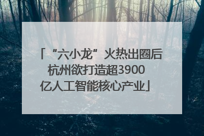 “六小龙”火热出圈后 杭州欲打造超3900亿人工智能核心产业