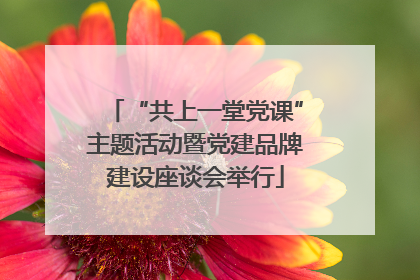 “共上一堂党课”主题活动暨党建品牌建设座谈会举行