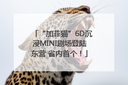 “加菲猫”6D沉浸MINI剧场登陆东营 省内首个！