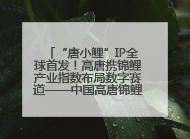 “唐小鲤”IP全球首发！高唐携锦鲤产业指数布局数字赛道——中国高唐锦鲤产业指数暨“唐小鲤”IP全球首发仪式在杭州举行