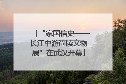 “家国信史——长江中游简牍文物展”在武汉开幕
