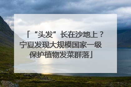 “头发”长在沙地上？宁夏发现大规模国家一级保护植物发菜群落