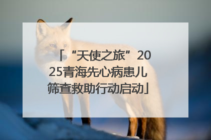 “天使之旅”2025青海先心病患儿筛查救助行动启动