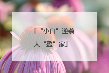 “小白”逆袭大“盈”家