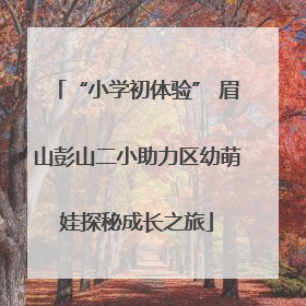 “小学初体验” 眉山彭山二小助力区幼萌娃探秘成长之旅