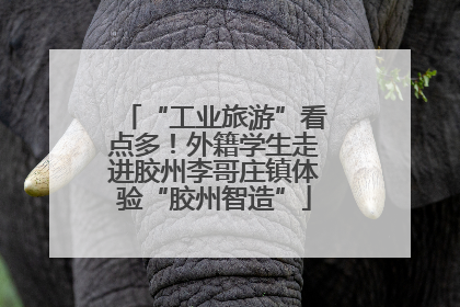 “工业旅游”看点多！外籍学生走进胶州李哥庄镇体验“胶州智造”