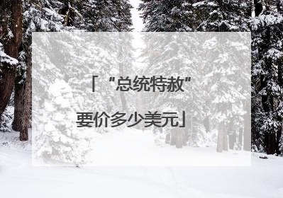 “总统特赦”要价多少美元