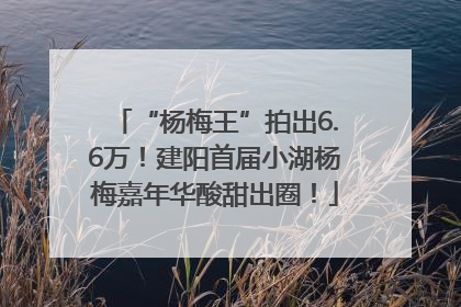 “杨梅王”拍出6.6万！建阳首届小湖杨梅嘉年华酸甜出圈！