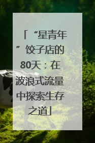 “星青年”饺子店的80天：在波浪式流量中探索生存之道