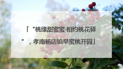 “桃缘甜蜜蜜·相约桃花驿”，孝南杨店镇早蜜桃开园