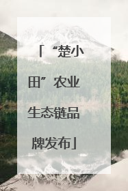 “楚小田”农业生态链品牌发布
