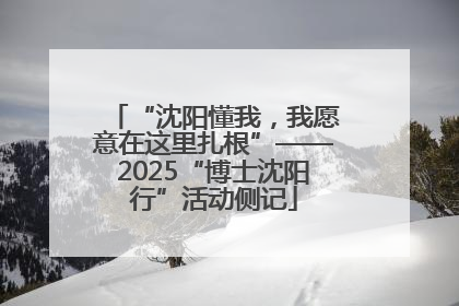 “沈阳懂我，我愿意在这里扎根”——2025“博士沈阳行”活动侧记